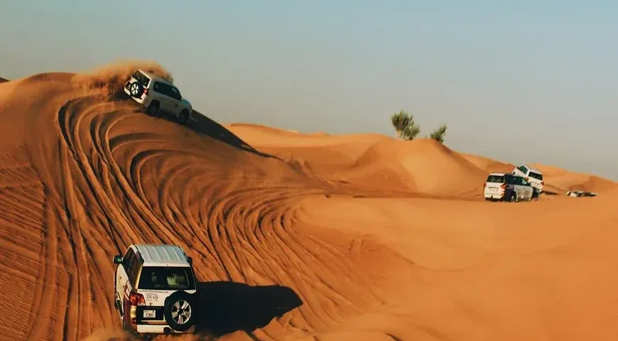 Evening-Desert-Safari-In-Dubai-6 Activity
