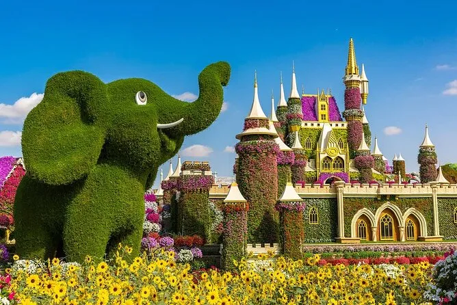 Miracle Garden Activity