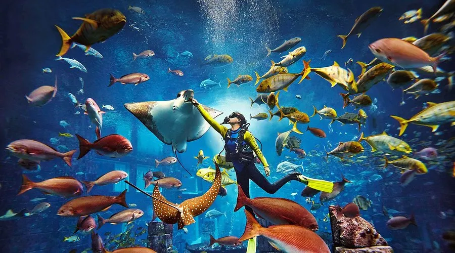 Lost Chamber Aquarium Activity