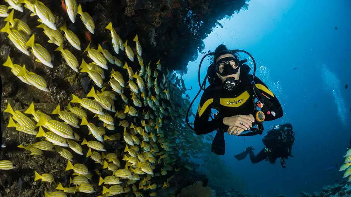 Scuba Diving Activity