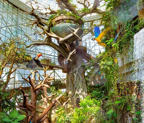 The Green Planet Activity