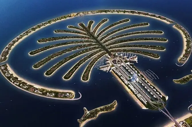 The Palm View Activity