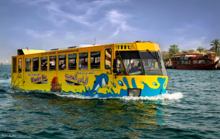 Wonder Bus Tour Activity